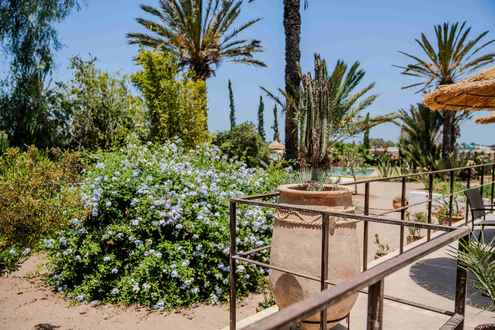 LA MAISON d'HELENE ESSAOUIRA 7