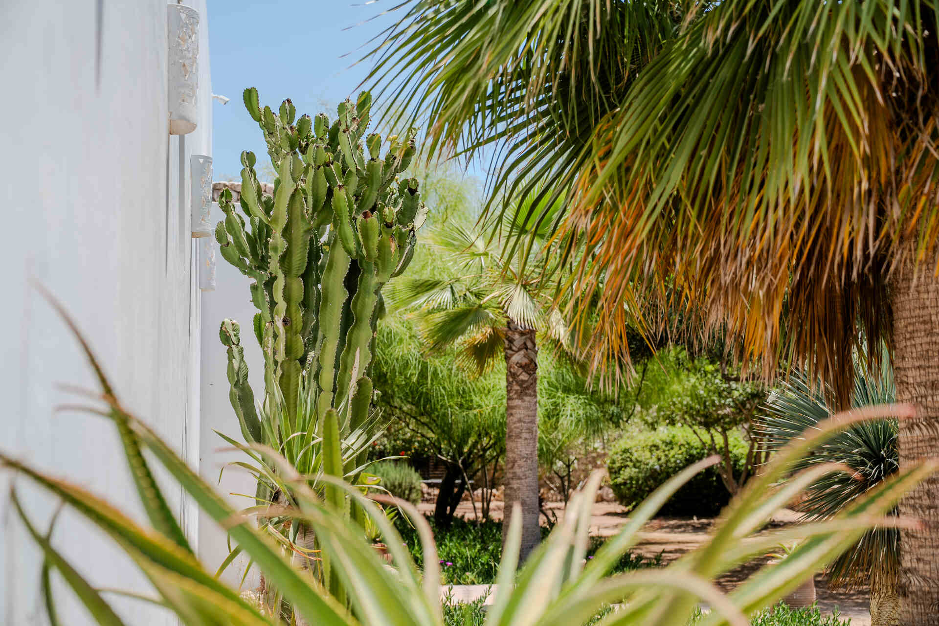 LA MAISON d'HELENE ESSAOUIRA 8